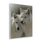 Stupell Industries Sunlit Soulmates Wolves Wall Plaque, design by Collin Bogle
